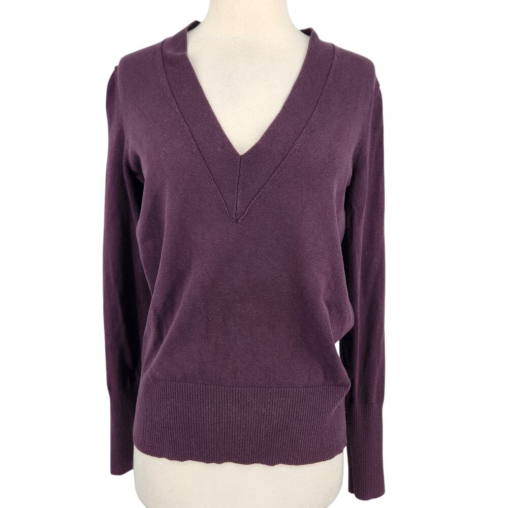 Banana Republic Silk Cotton Cashmere V Neck Sweater Purple